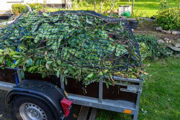 Best Construction Debris Removal  in Carthage, IL